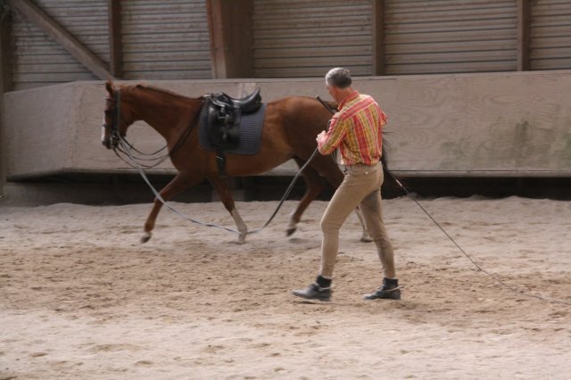 Juin 2010